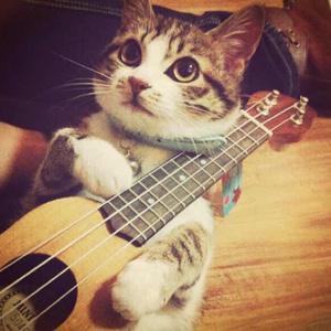 戚薇裸被啪啪视频
