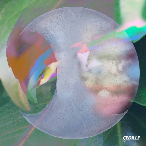 戚薇裸被啪啪视频
